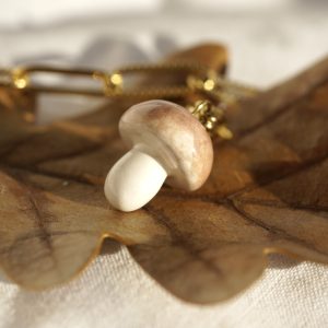 Charm's Champignon marron