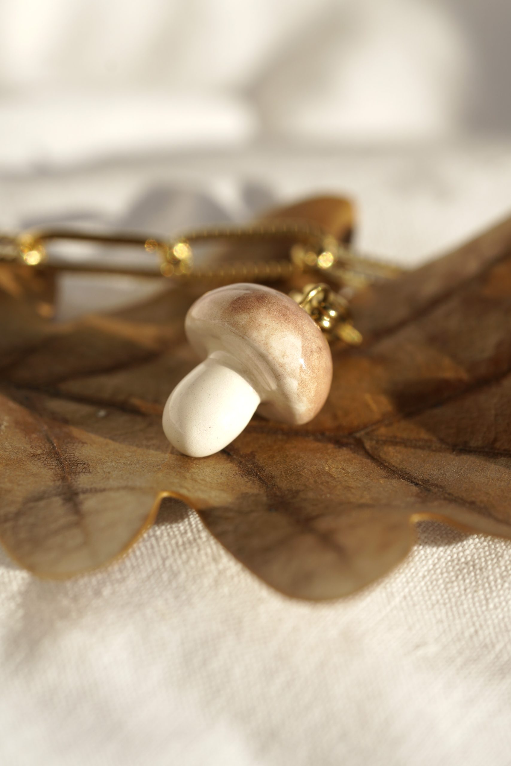 Charm_champignon_marron_3