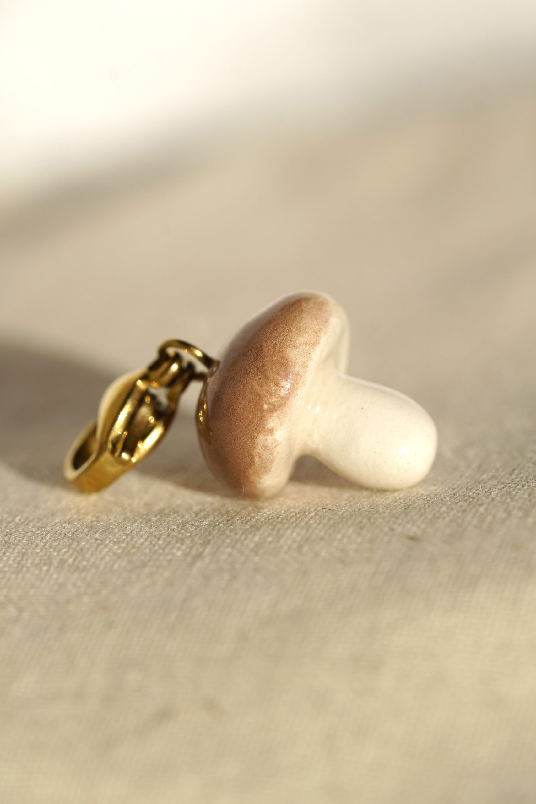 Charm_champignon_marron_4