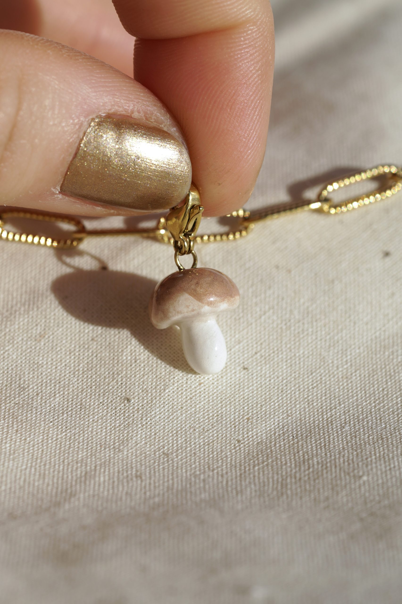 Charm_champignon_marron_6