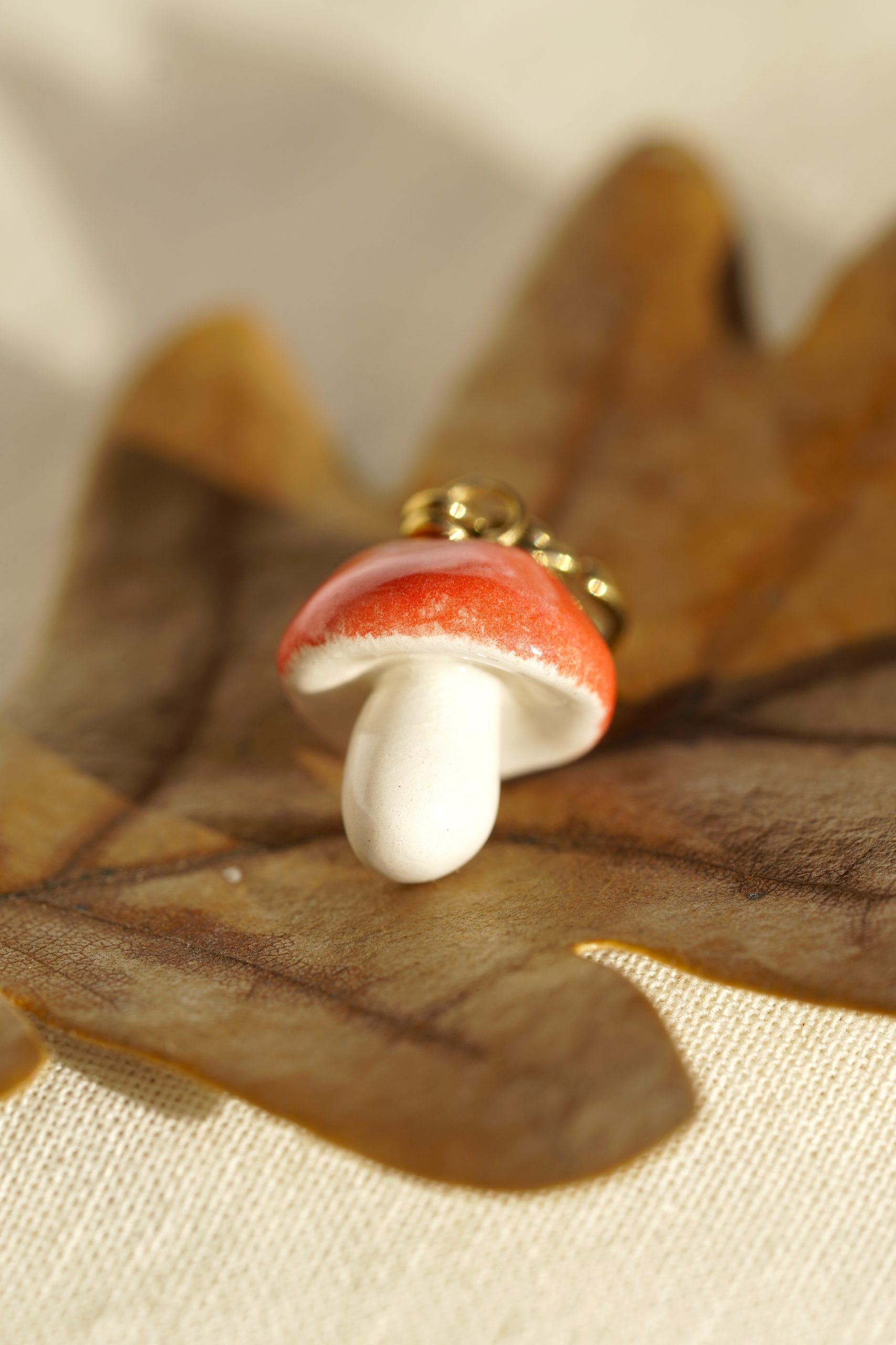 Charm_champignon_rouge_2