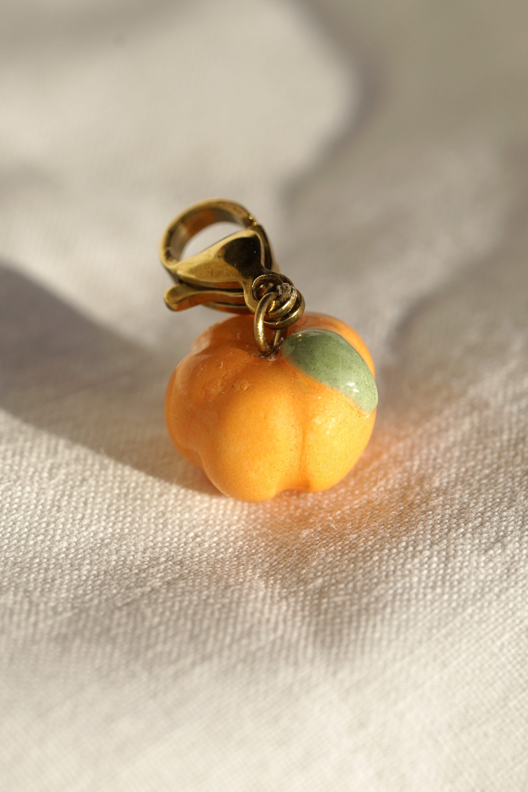 Charm_courge_2