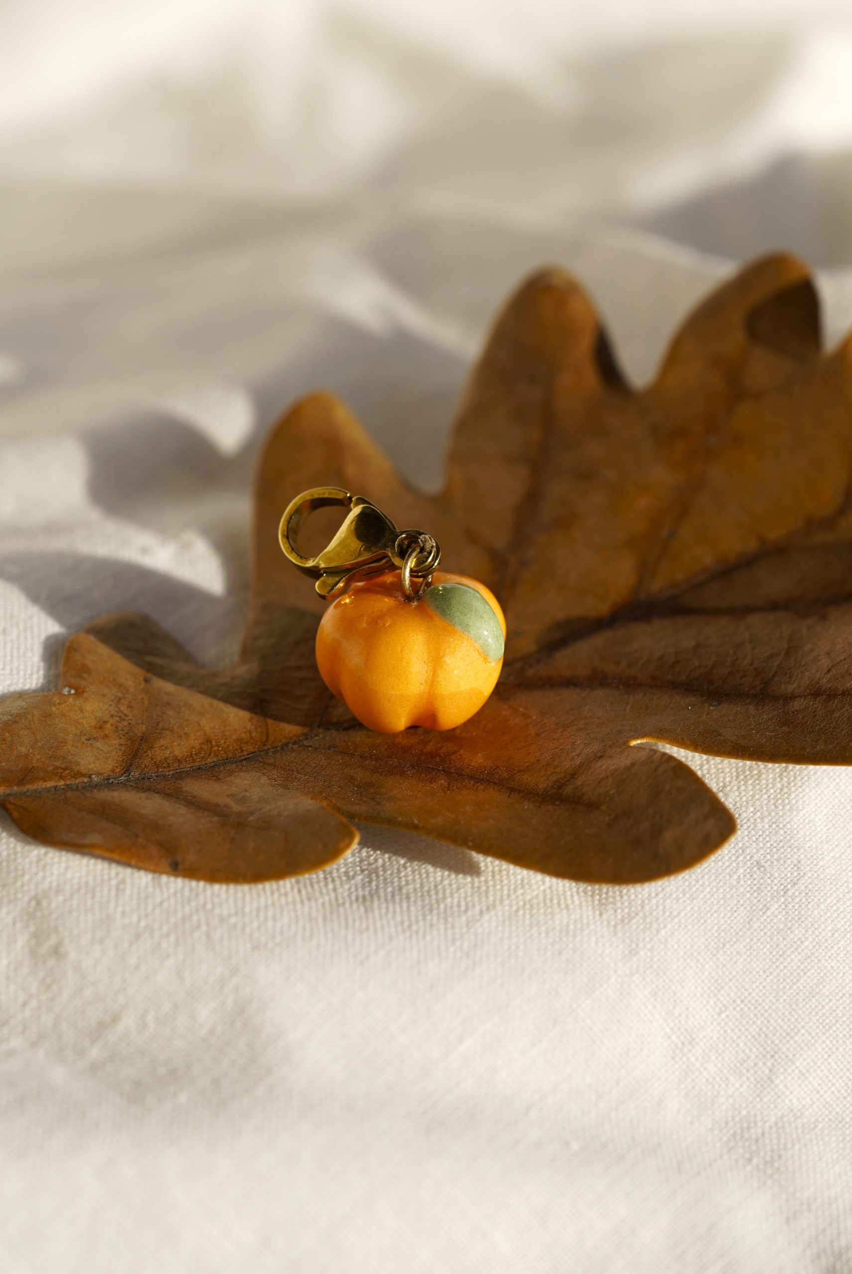 Charm_courge_3