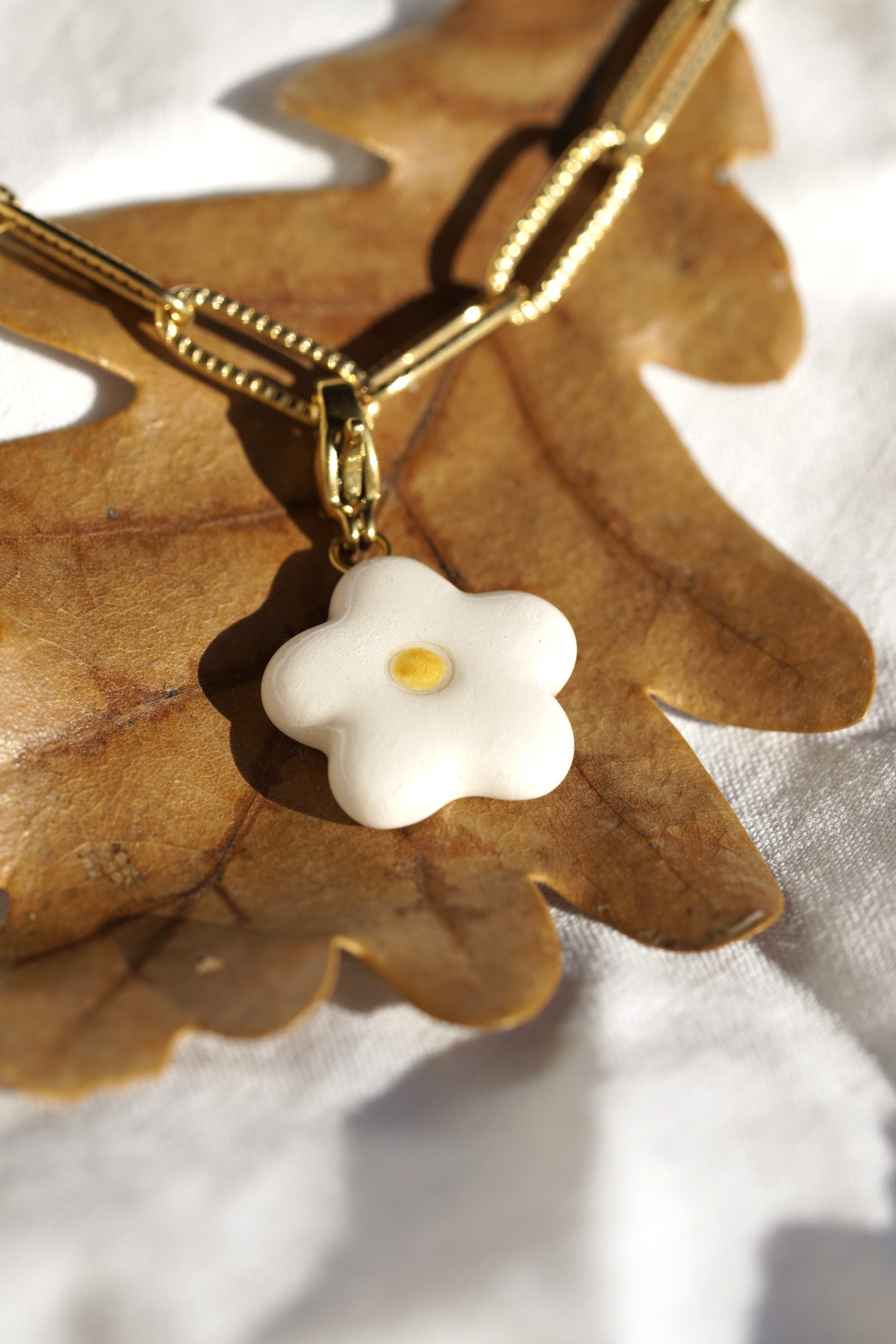 Charm_rose_2